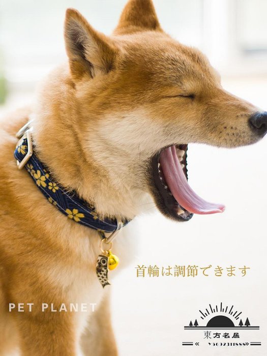柴犬項圈牽引繩圍脖泰迪柯基中小型犬貓狗寵物日系和風唐草紋錦鯉.