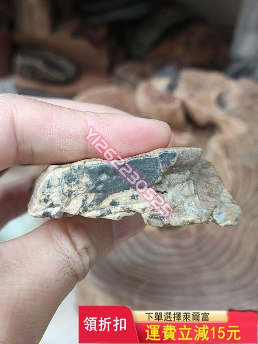新疆白硅化木，木化石，158克 奇石擺件 天然雅石 原石【匠人收藏】733