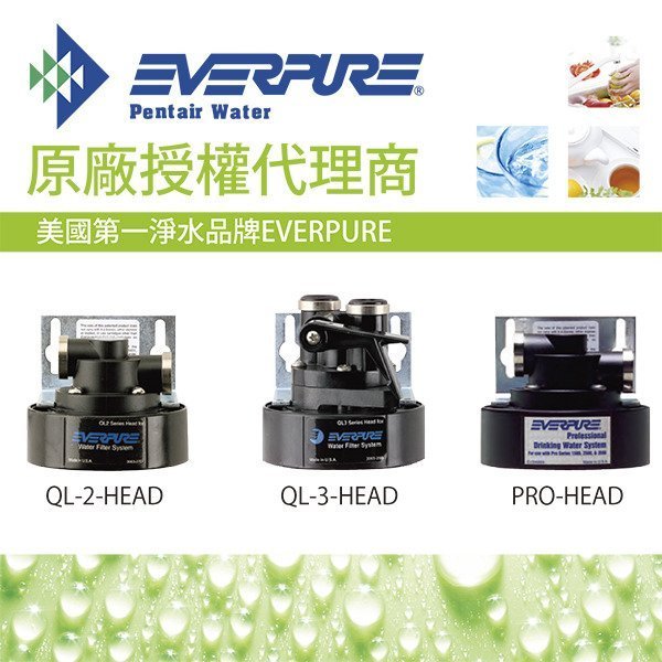 【艾瓦得淨水】台灣公司貨Everpure原廠卡式濾心頭蓋QL2/原廠濾頭(有雷標有保固)~