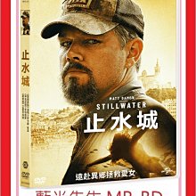 [藍光先生DVD] 止水城 Stillwater (傳訊正版)