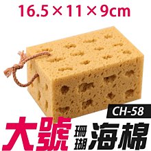 【傻瓜批發】(CH-58)大號珊瑚海綿 16.5*11*9cm洗車擦車蜂窩狀蜂巢 泡沫海棉 泡綿 打蠟海綿 洗車海棉 板