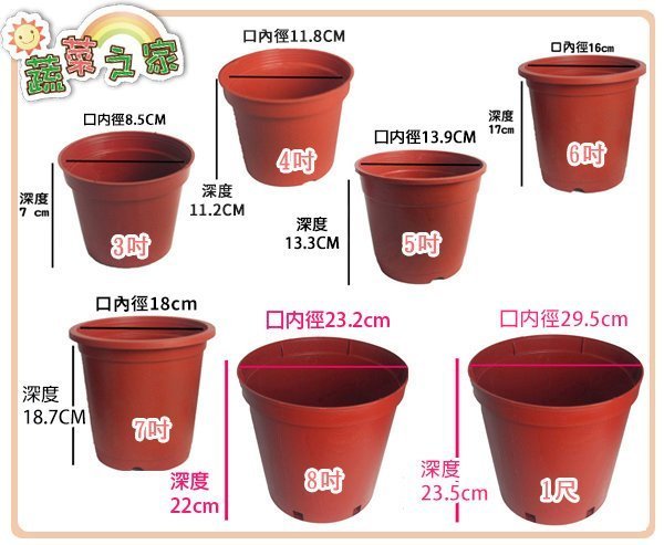 【蔬菜之家滿額免運005-C38】3吋荷蘭盆.栽培盆10個/組※此商品運費請選宅配※