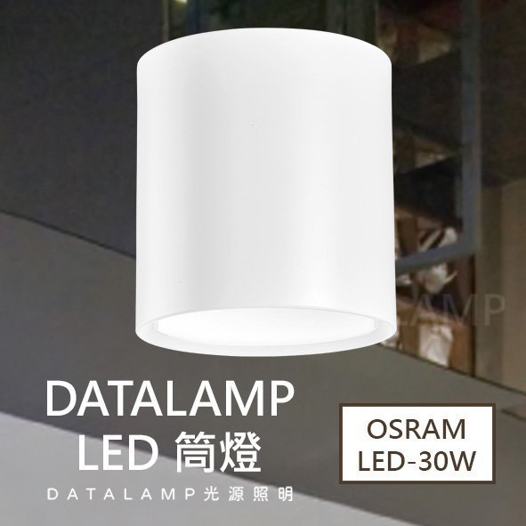 ❀333科技照明❀《H4978》附OSRAM LED-30W 台灣電子 另有黑色 演色性RA≧82 鋁材 LED 筒燈