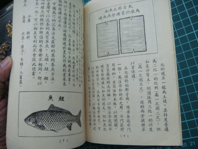 民國40幾年中國農村復興聯合委員會編印(農家養魚淺說)約24頁.品項如圖