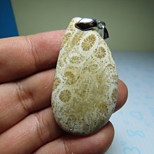 【競標網】漂亮天然A貨玉化珊瑚玉化石造型胸墬15克(H2)(天天處理價起標、價高得標、限量一件、標到賺到)