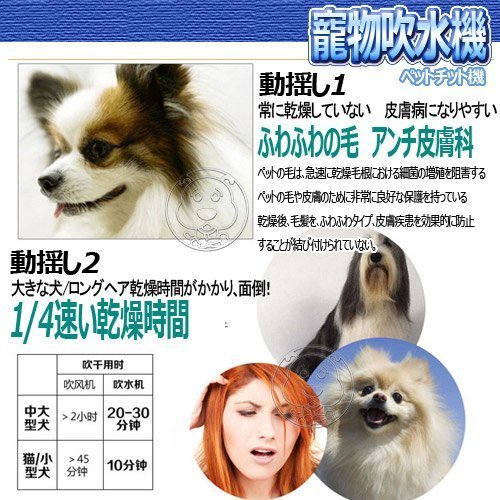 【🐱🐶培菓寵物48H出貨🐰🐹】神悅2段調溫調速吹水機新冷溫風(靜音耐用持久型金屬噴塑外殼) 特價3999元