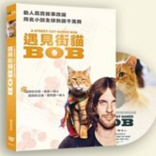 [DVD] - 遇見街貓BOB (平裝版) A Street Cat Named ( 采昌正版 )