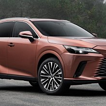 【小鳥的店】凌志 2023-24 RX 全系列 M8 汽車腳踏墊 車用腳踏墊 腳踏墊 TPE 3D