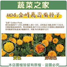 【蔬菜之家滿額免運】H04.金峰萬壽菊種子200顆(美化綠化環境作物.花卉種子)