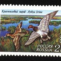 (5 _ 5)~俄羅斯新郵票---野鴨---1992年--- 3 全