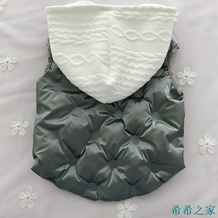 【精選好物】帥氣潮流狗狗衣服 亮色冬季狗狗棉服棉襖 保暖狗狗衣服 法鬥柯基胖狗衣服 連帽狗狗外套 衝鋒衣 擺拍 可