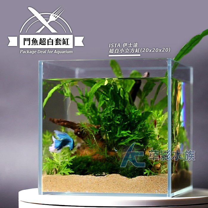 【AC草影】20x20x20cm 鬥魚超白套缸【套餐】【一罐】