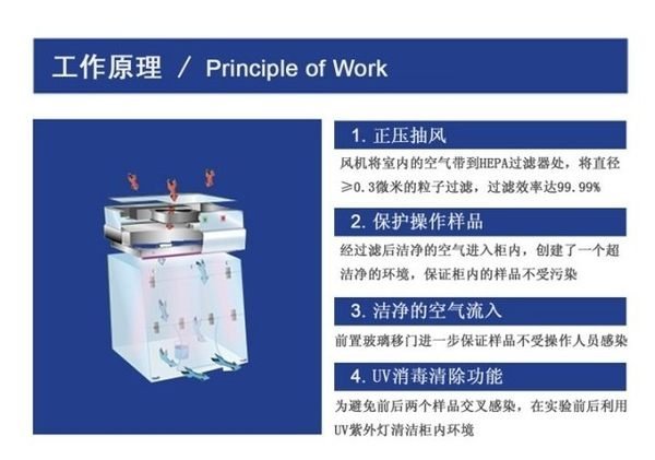 不鏽鋼SW-CJ-2D双人垂直送風 超净/净化工作台垂直送風超淨/淨化工作臺QS認證