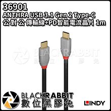 數位黑膠兔【 林帝 36901 ANTHRA USB 3.1Gen 2 Type-C 公 對 公 傳輸線 PD 1m】