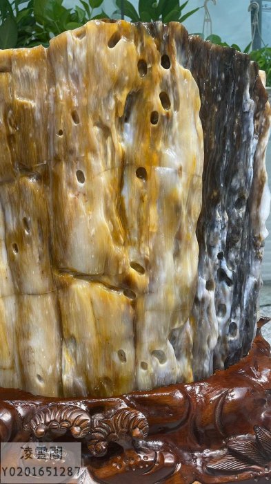 【一物一圖 主圖款】緬甸樹化玉大型冰種天然奇石樹化石木化玉木化石硅化木收藏擺件