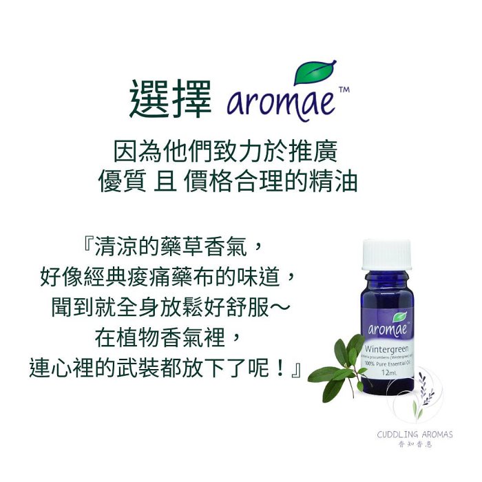 【澳洲 aromae 精油】芳香白珠精油