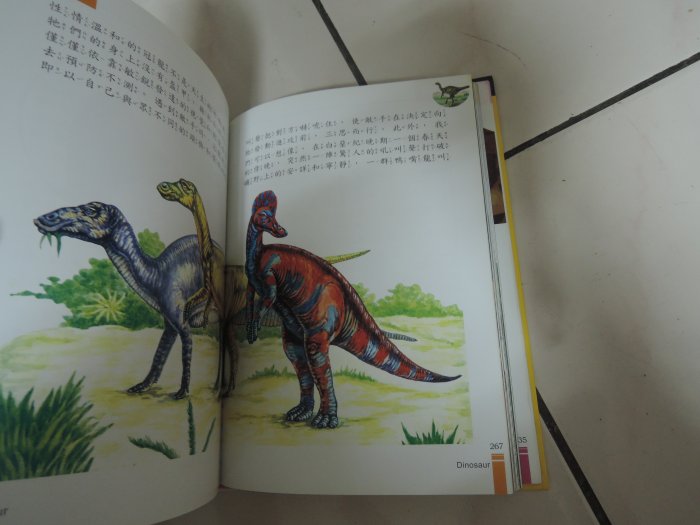 典藏乾坤&書---童書---書如照 恐龍奧秘