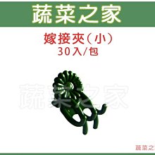 【蔬菜之家滿額免運】嫁接夾(蘭花夾.固定夾)-(小)30入/組 綠色※此商品運費請選擇宅配