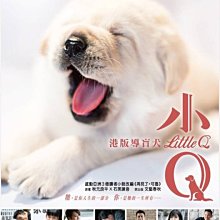 [DVD] - 再見了小Q Little Q 特收版