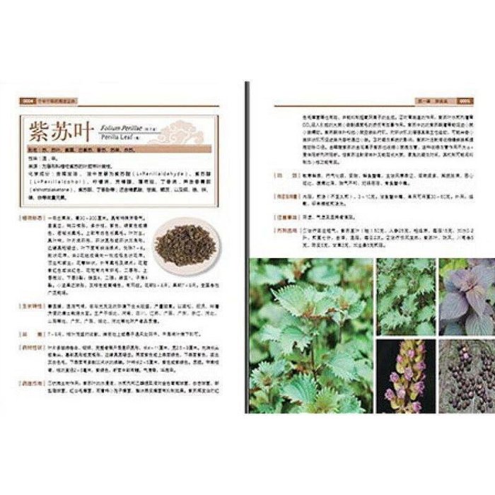 中華中草藥圖譜全典 植物形態生長特征 常見大小病藥劑與食療指南【可代找書籍】