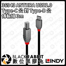 數位黑膠兔【 LINDY 林帝 36943 USB2.0 Type-C 公 對 Type-B 公 傳輸線 3m 】