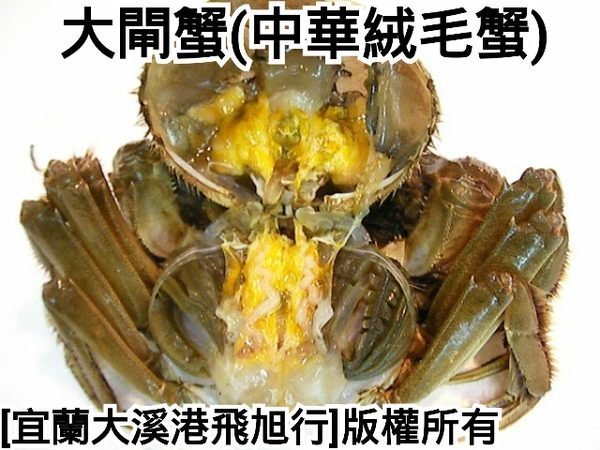 [正]台灣萬里大閘蟹....112/10/17（二）開始出貨，初期以4兩半~8兩為主