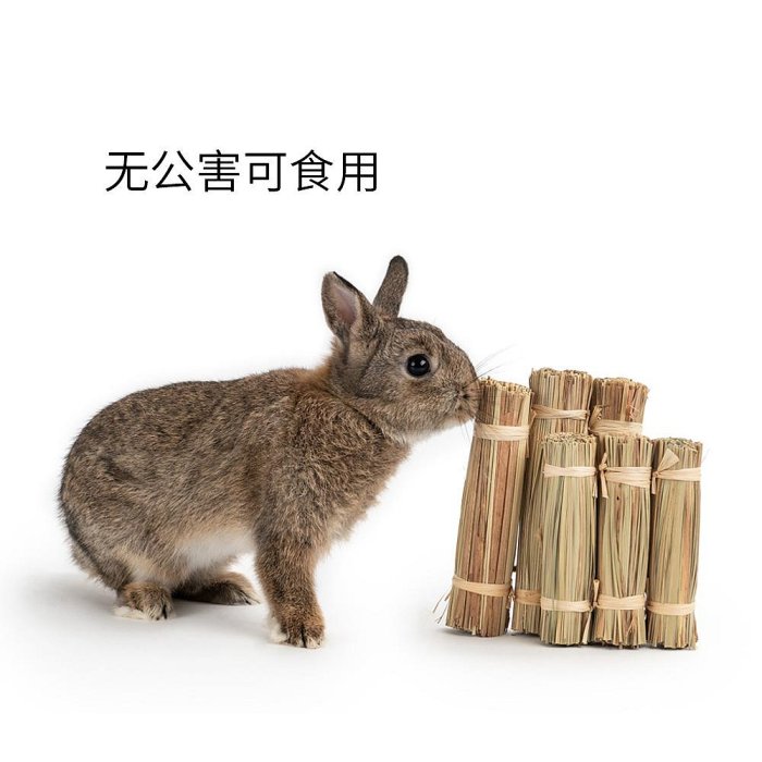兔子龍貓荷蘭豬啃咬玩具天然蘆葦磨牙零食草圍欄