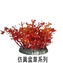 MA52300-05 微笑的魚水族☆【SY-假水草】【盤草 / 06】4吋 質感超自然 ☆現貨☆超便宜