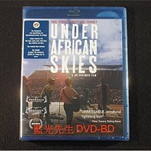 [藍光BD] - 保羅賽門 : 非洲天空下 Paul Simon : Under African Skies