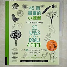 【書寶二手書T1／藝術_EJP】45個畫畫的小練習-900種圖形一次學會_艾洛絲．雷諾芙