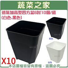 【蔬菜之家滿額免運】透氣加高型四方盆6吋10個/組(黑色.白色共2色可選)※此商品運費請選宅配貨運※