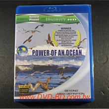 [藍光BD] - 赤道 : 海洋的力量 Equator : Power Of An Ocean - 國語發音、繁中字幕