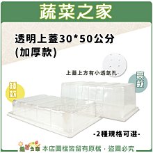 【蔬菜之家滿額免運】透明上蓋30*50公分(加厚款)上方有小透氣孔(共2種規格可選)