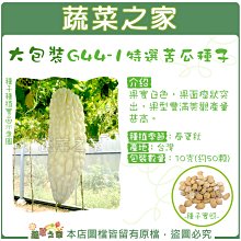 【蔬菜之家滿額免運00G44-1】大包裝.特選苦瓜種子10克(約50顆)(白皮粗米) ※不適用郵寄掛號配送