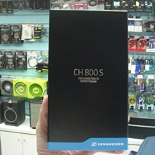 禾豐音響 德國製 SENNHEISER CH800S HD800耳機平衡線 可搭HDVD800 HDVA600