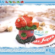 【~魚店亂亂賣~】波麗纖維製品R-MR-046小尼莫(4.5*4*5cm)魚缸擺飾造景裝飾