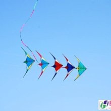 惠元特技風箏 H型 運動風箏 技術風箏 飛行聲響最大的機種H型 串聯拉力倍增 專利設計
