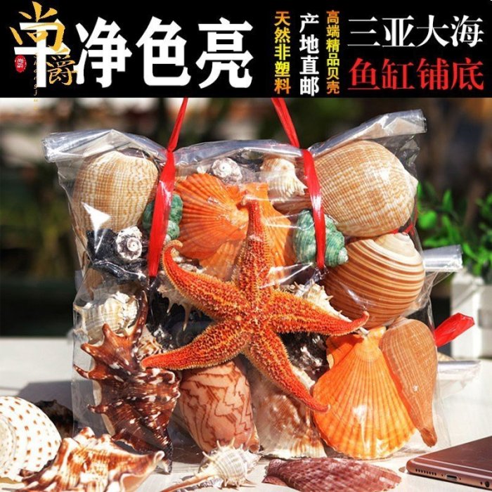 【熱賣精選】海南天然大貝殼海螺海星家居擺件魚缸造景水族箱裝飾兒*特價