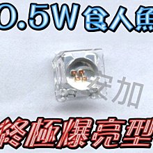 光展 買10送10 終極爆亮0.5W 凸頭-食人魚LED 四晶片 many.新勁戰.CUXI.GT