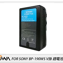☆閃新☆ROWA 樂華 FOR SONY BP-190WS V掛 鋰電池(BP190WS,公司貨)