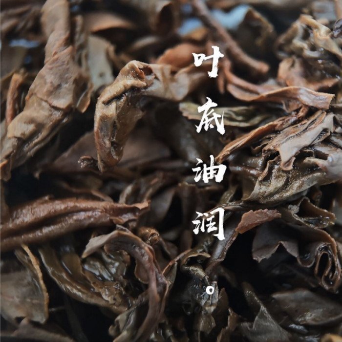 [茶太初] 2004年 國營茶廠  普秀 柏木林千年古樹茶 357克 生茶 - 低價起標 無加購