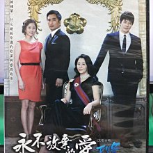 影音大批發-S39-017-正版DVD-韓劇【永不放棄的愛／共6片24集】-高賢廷 權相佑 車仁表(直購價)