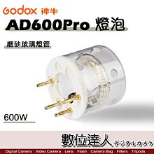 【數位達人】Godox 神牛 AD600Pro 燈泡 燈管 600W 磨砂玻璃燈管 AD600ProFT / 外拍燈