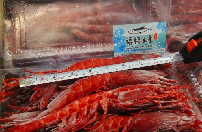 【禧福水產】船凍生食級胭脂蝦0號/葡萄◇$特價1100元/1kg±10%盒/11-20隻◇頂級食材居酒屋日式餐廳團購可批