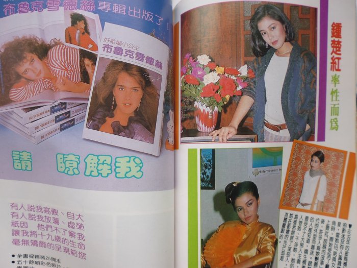 ///李仔糖明星錄*民國73年新女性雜誌第172期.鳳飛飛封面.鍾楚紅.葉蒨文內頁彩頁各1頁(k513)