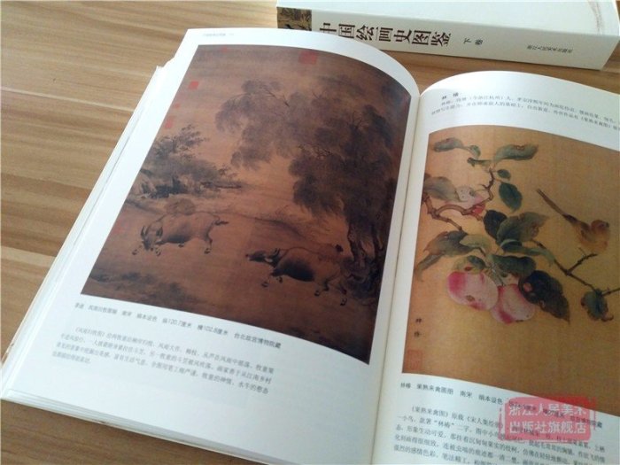 金牌書院 中國繪畫史圖鑒上下卷 1000幅高清圖 中國美術通史圖錄全集 古代宋元明清朝山水花鳥人物畫書畫作品臨摹鑒賞名家國畫技法教程書籍