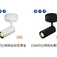 可超取【燈王的店】舞光 LED 15W邱比特吸頂燈 (LED-CCP15W) 白框/黑框可選 暖白光