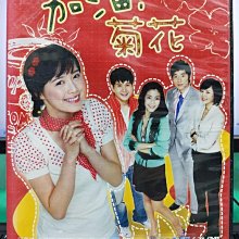 影音大批發-S29-016-正版DVD-韓劇【加油菊花／共24片167集】-邱惠善 徐智石 李民宇(直購價)