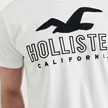 HCO Hollister 海鷗 短袖 T恤 現貨 貼布刺繡logo 白色