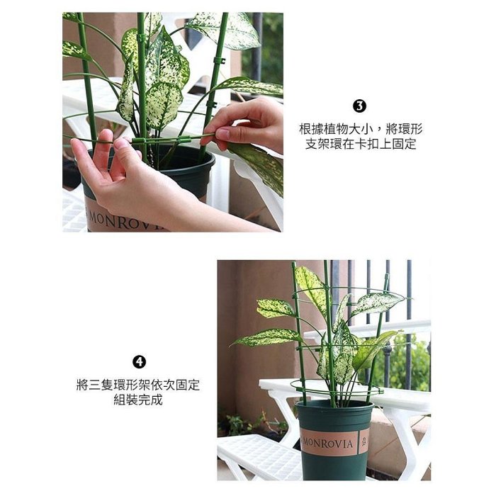 台灣現貨【爬籐花架】盆栽支撐架 藤蔓支架 爬藤架 花盆架 植物架 攀爬架 爬藤杆 環狀爬藤架 球型花架 園藝花架 支柱